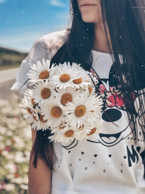 букет ромашек