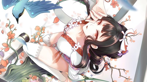 Аниме много с девушками