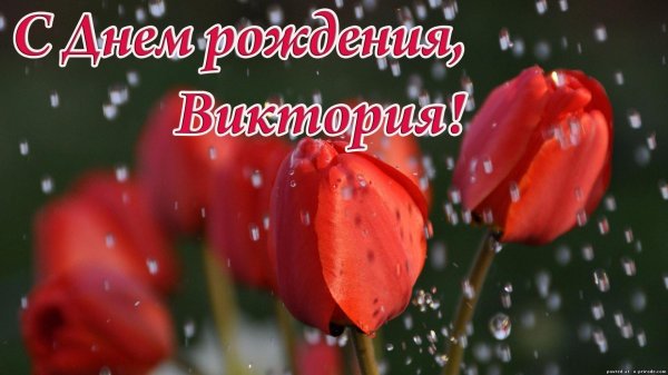 Вика ты самая девушка