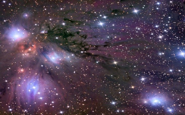 Вика ты самая девушка