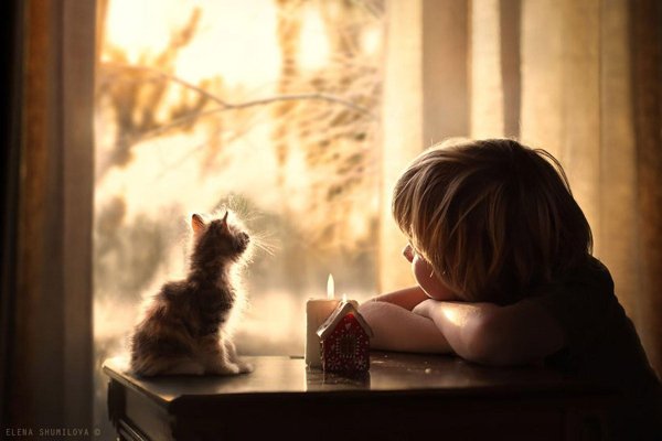 Девушка вечером у окна