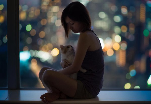 Девушка вечером у окна