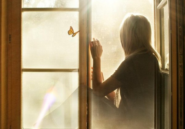 Девушка вечером у окна