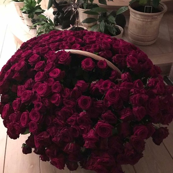 Большой букет и девушка роз