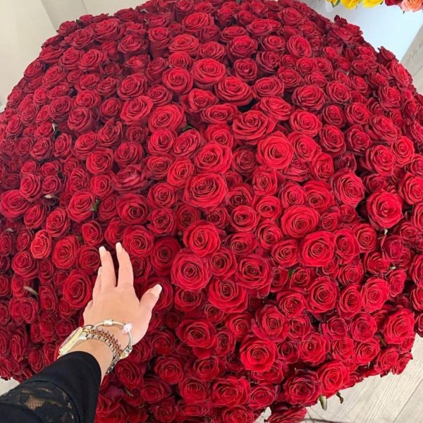 Большой букет и девушка роз