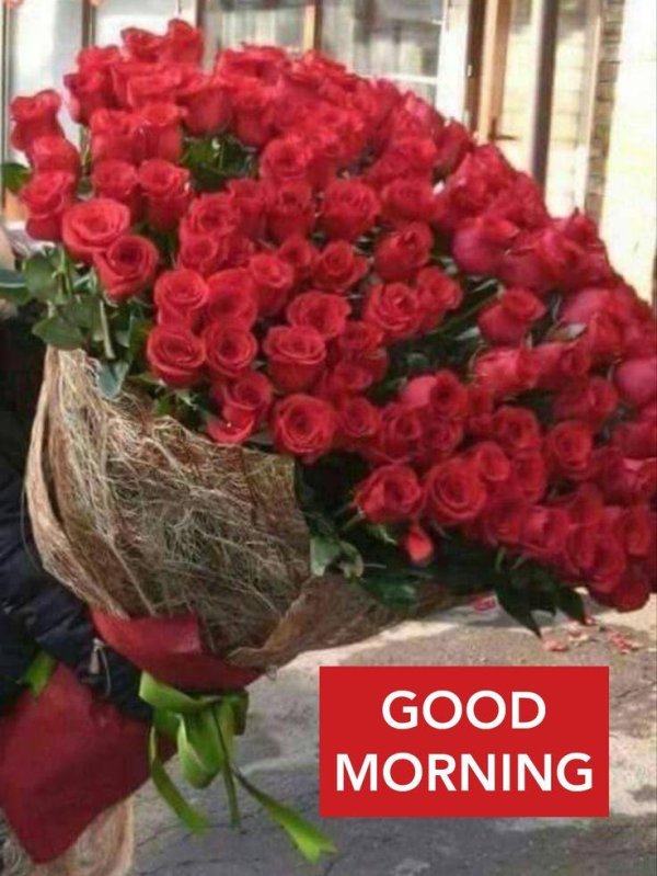 Большой букет и девушка роз