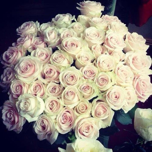 Большой букет и девушка роз