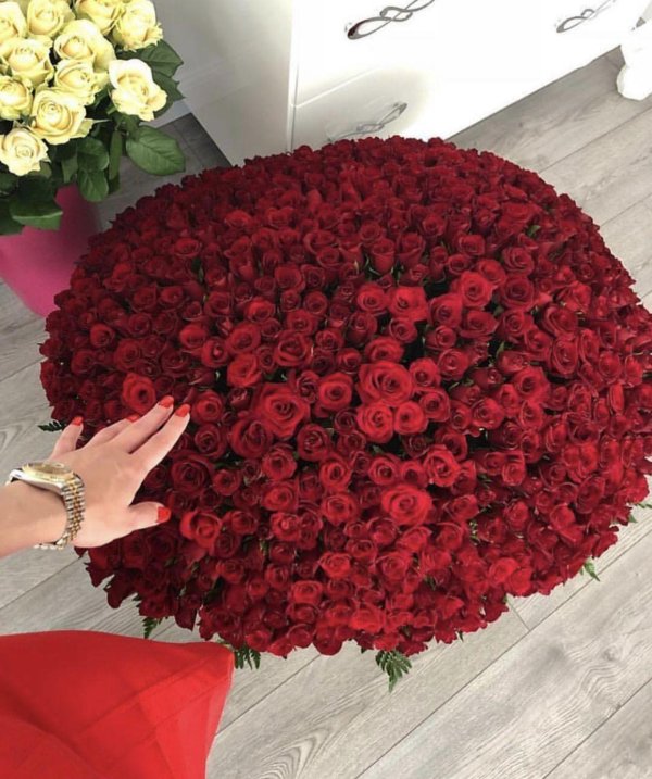 Большой букет и девушка роз