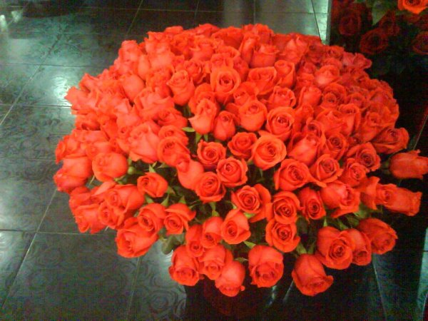 Большой букет и девушка роз