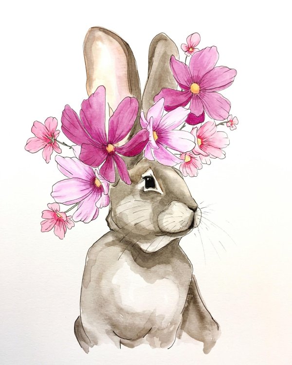 красивые рисунки зайчиков