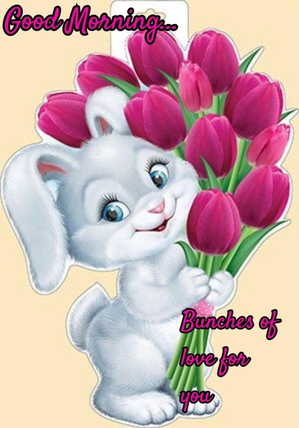 открытки с зайчиками красивые