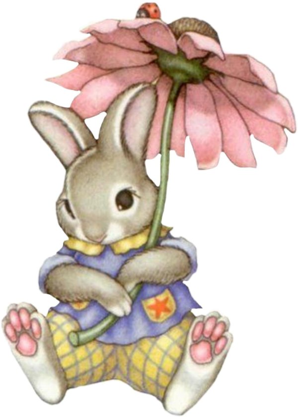 зайчики мультяшные