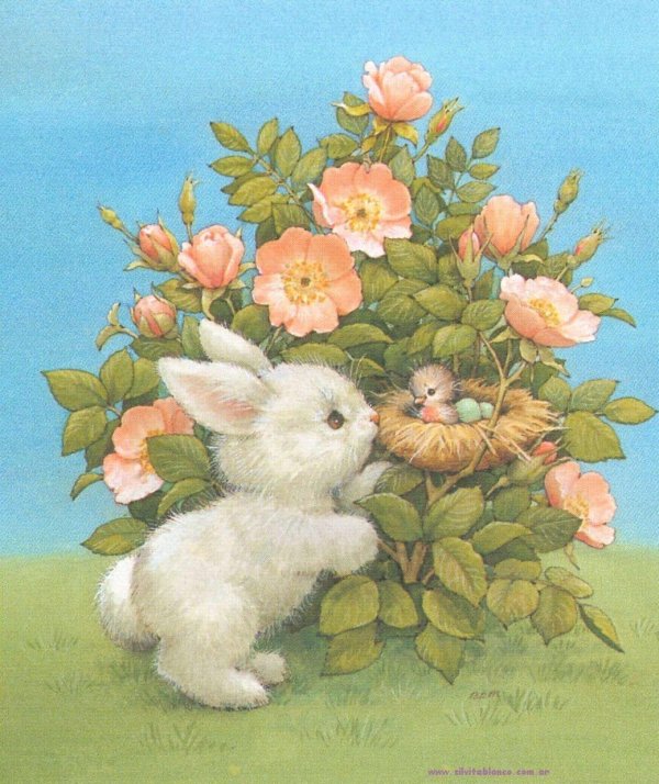 зайка открытка