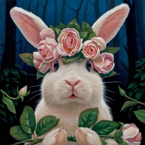 остара кролик