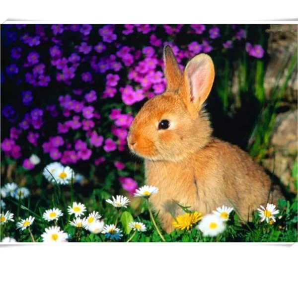 ga73126 алмазная мозаика кролики