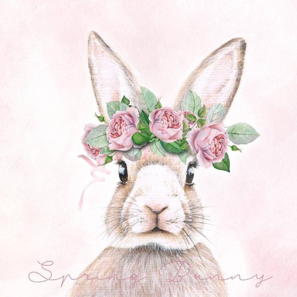 кролики рисунки