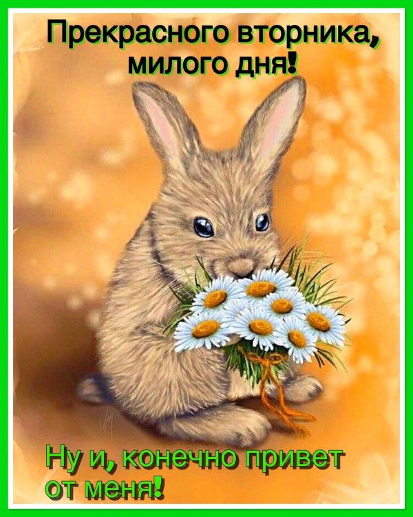 чудесного вторника