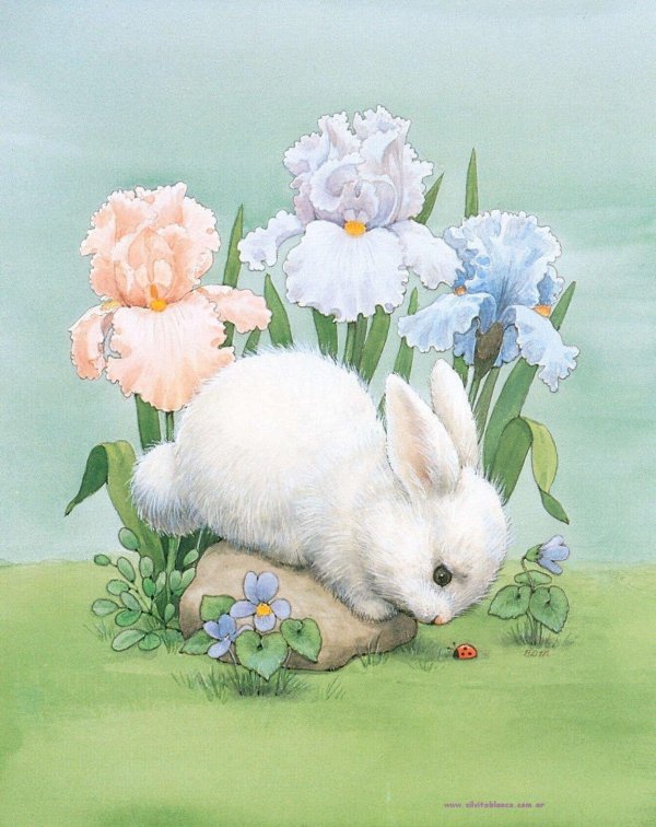 картина зайчика