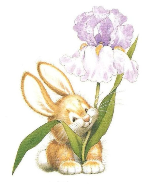 зайчики рисунки