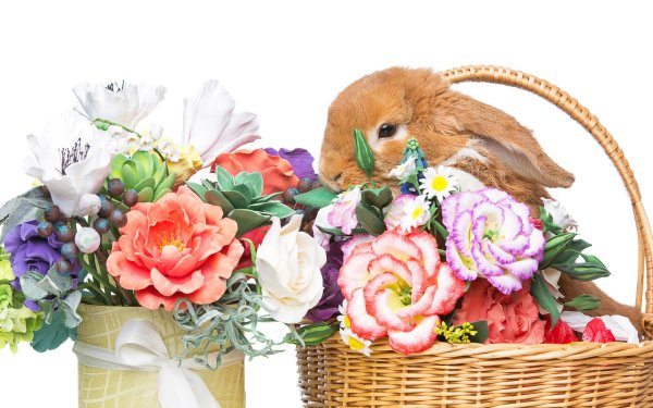 кролик в цветах