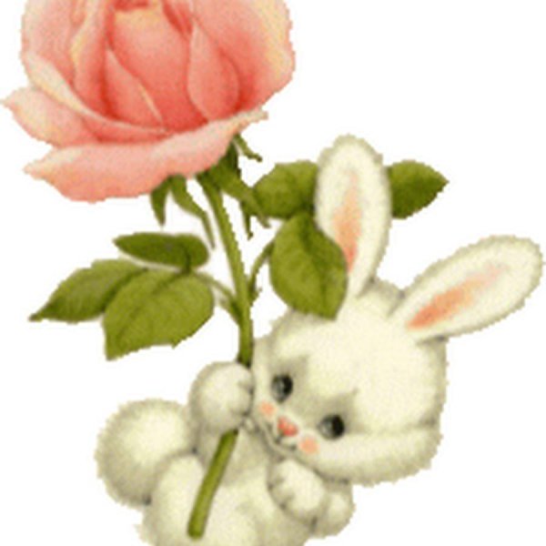 заяц дарит цветы