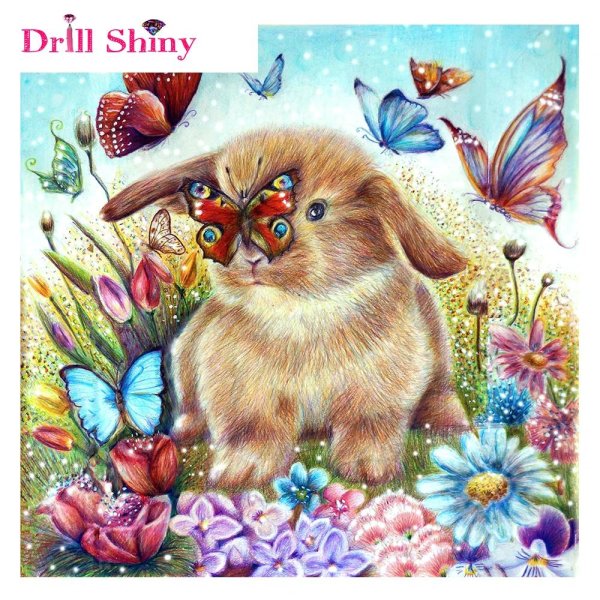 иллюстрации животных