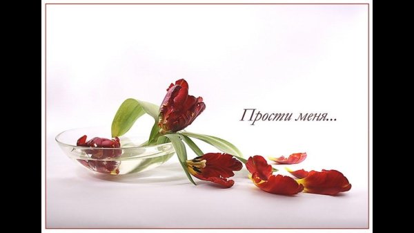 Прости меня за меня девушка