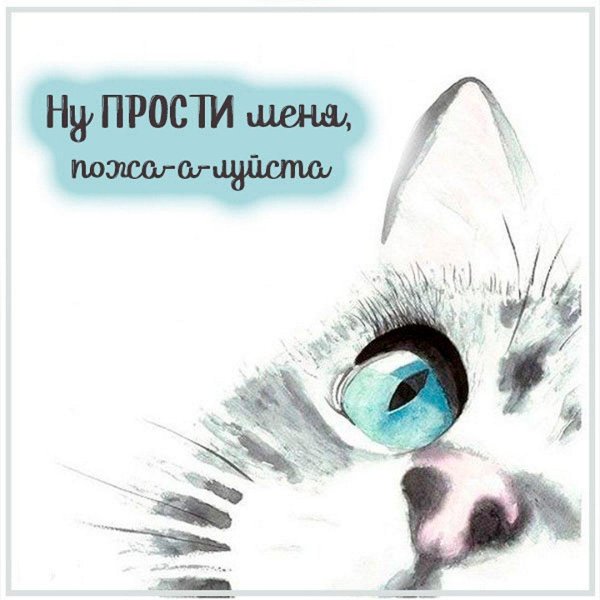 Прости меня за меня девушка