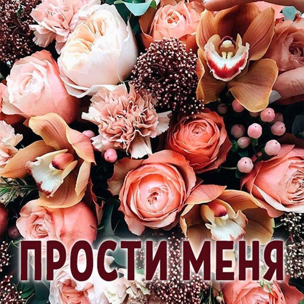Прости меня за меня девушка