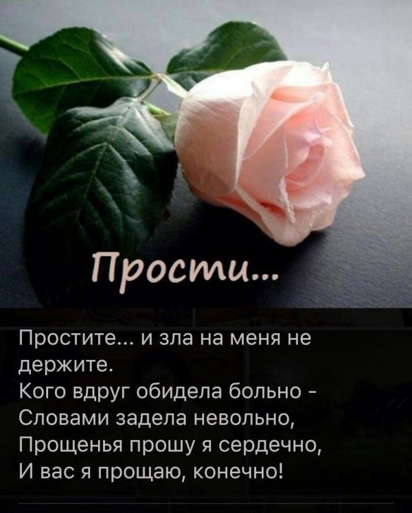 Прости меня за меня девушка