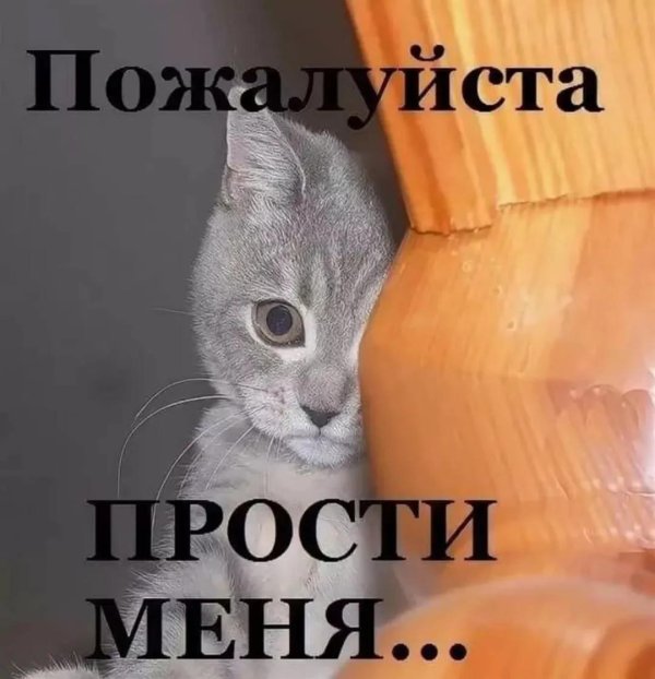 Прости меня за меня девушка