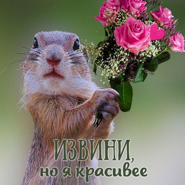 Прости меня за меня девушка