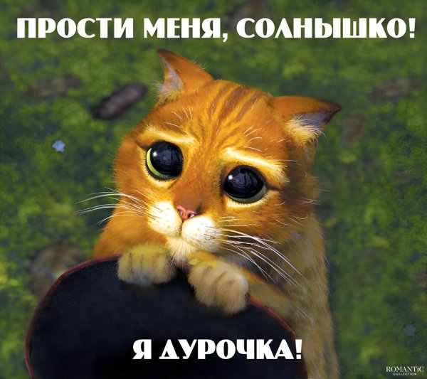 Прости меня за меня девушка