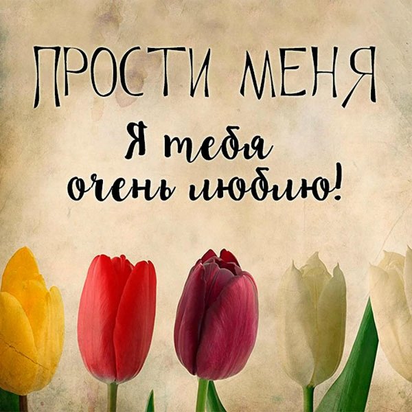 Прости меня за меня девушка