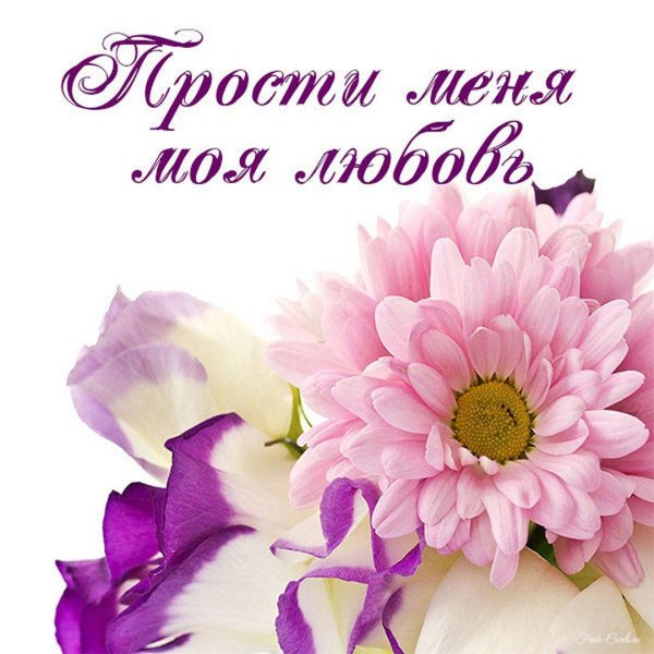 Прости меня за меня девушка