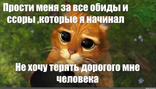 Прости меня за меня девушка