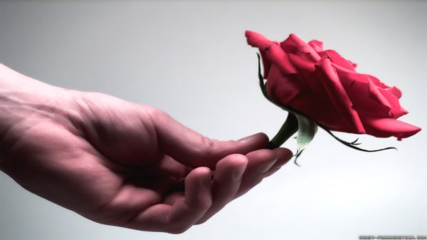 Прости меня за меня девушка