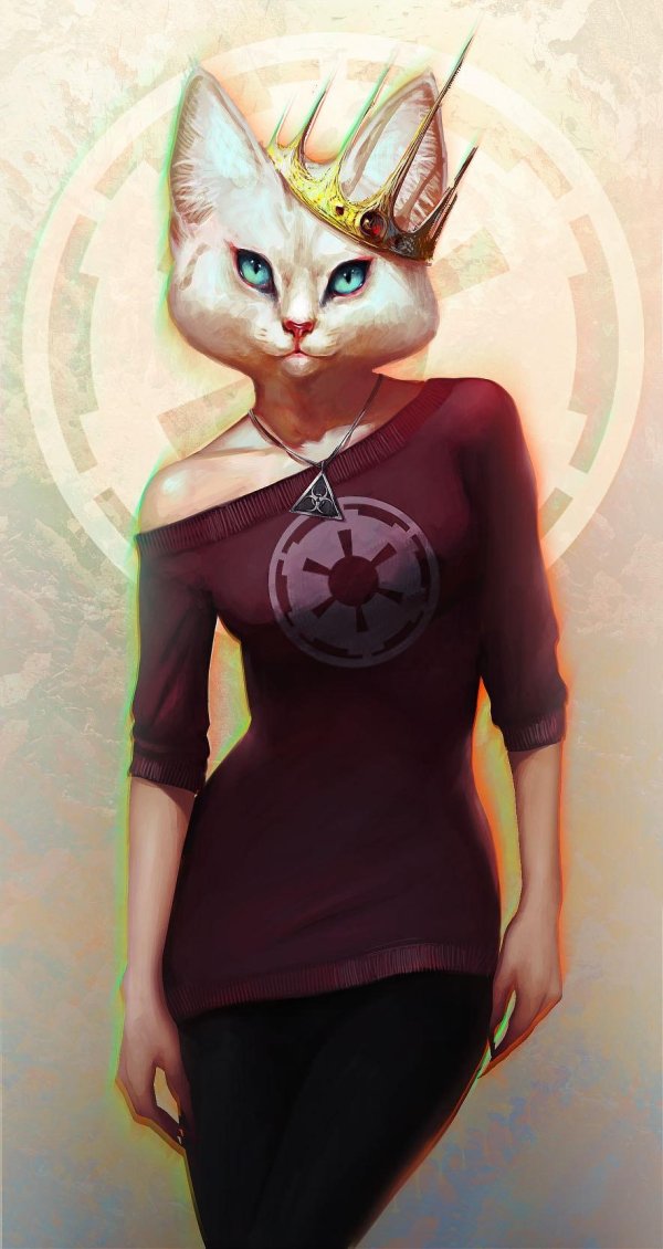 На аватарку девушка с кошкой