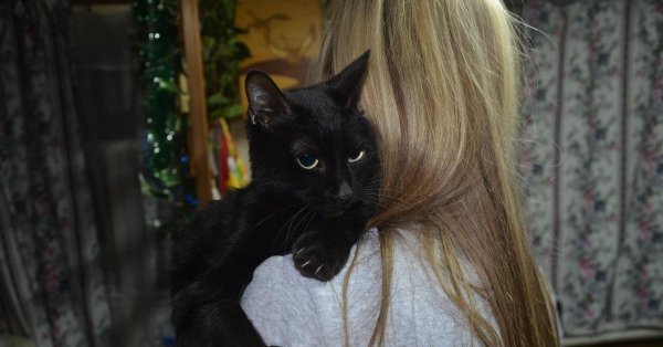 На аватарку девушка с кошкой