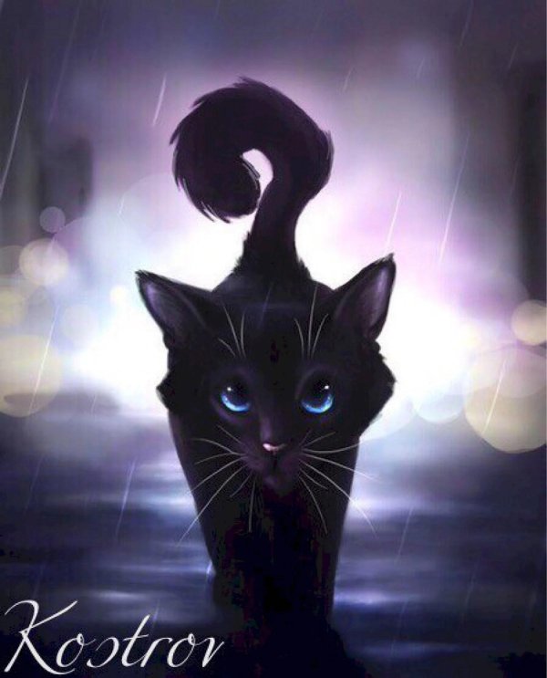 На аватарку девушка с кошкой