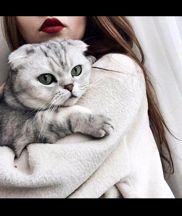 На аватарку девушка с кошкой