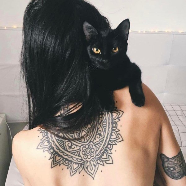 На аватарку девушка с кошкой