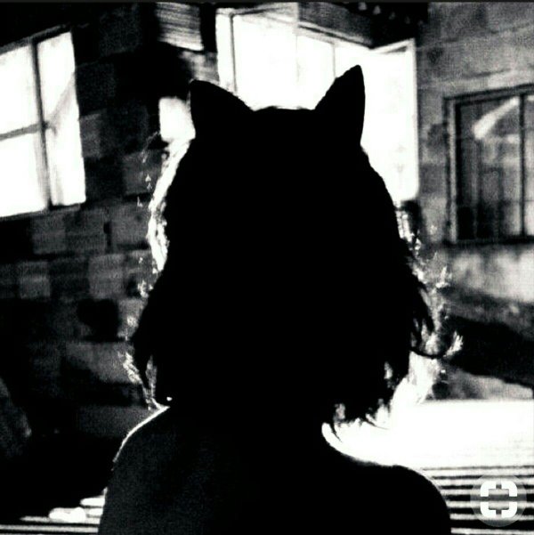 На аватарку девушка с кошкой