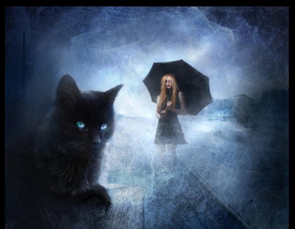 На аватарку девушка с кошкой