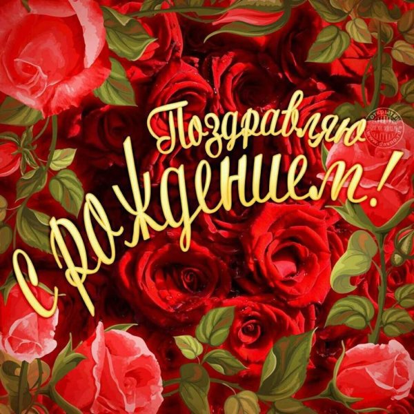 С именем анастасия с девушками