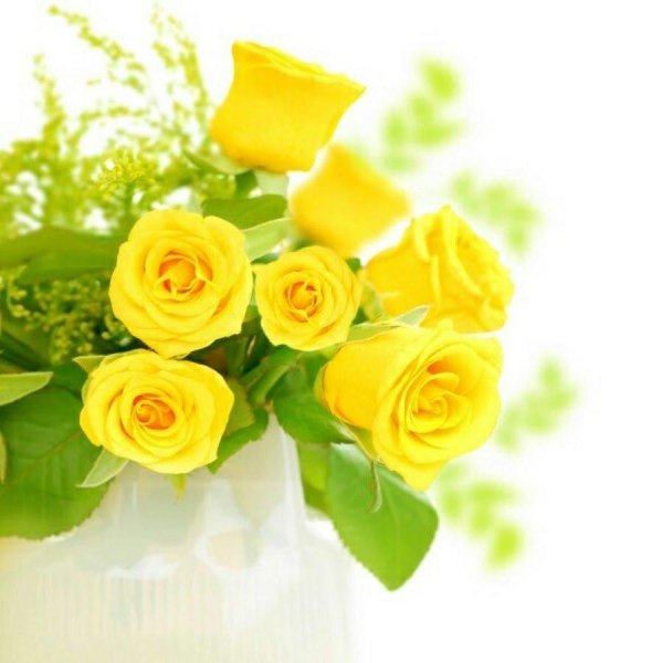 С именем анастасия с девушками