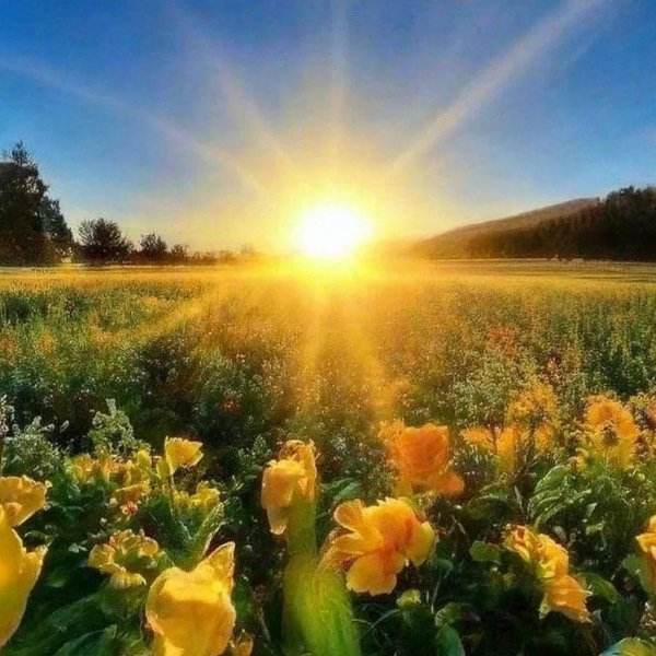 солнечная весна