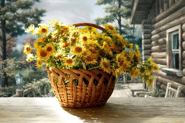 букет одуванчиков