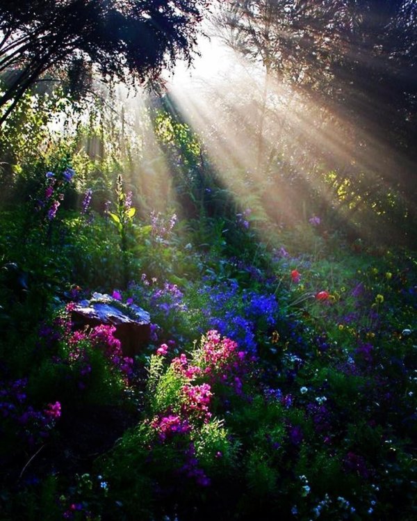 пейзажи красивые