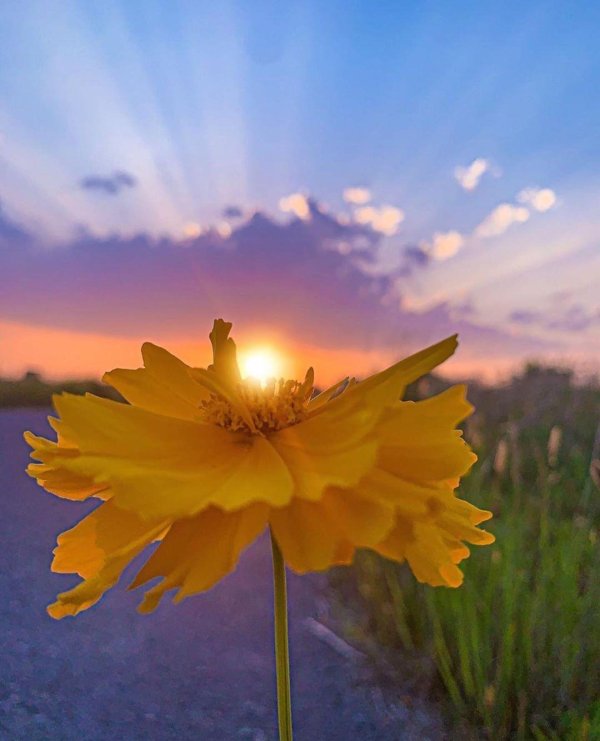 доброе утро с солнцем